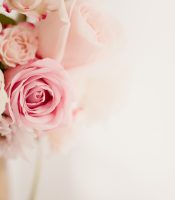 adobestock 386309722